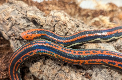 PXL_20251114_093045807~2