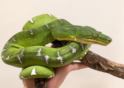 PXL_20250920_112030546~2