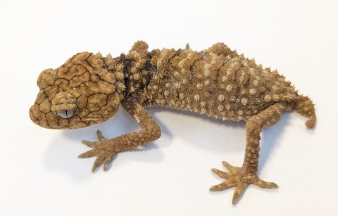 PXL_20250623_101135514~2