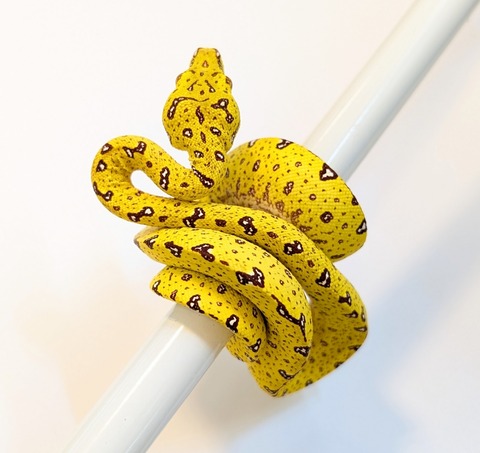 PXL_20250424_093250274~2