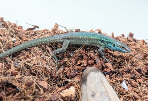 PXL_20250919_070951628~2