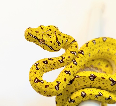 PXL_20250424_093306853~3