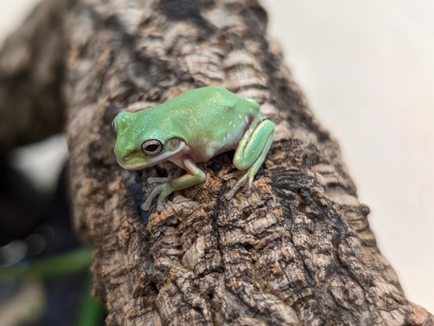 PXL_20250716_104022325~2