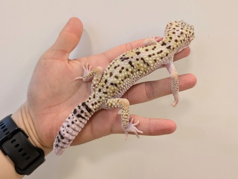 PXL_20241228_102125854~2