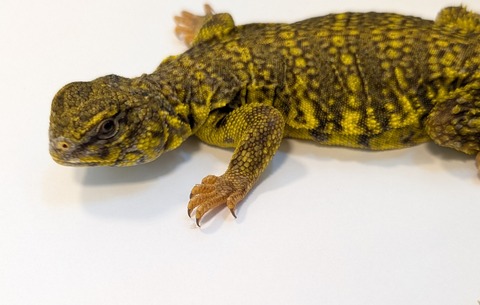 PXL_20250401_101915985~2