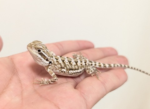 PXL_20251120_075420738~2