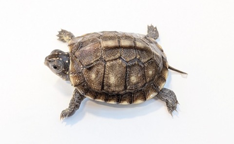 PXL_20251103_101218004~2