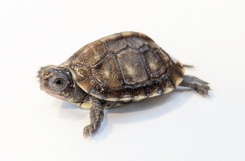 PXL_20251103_101214519~2