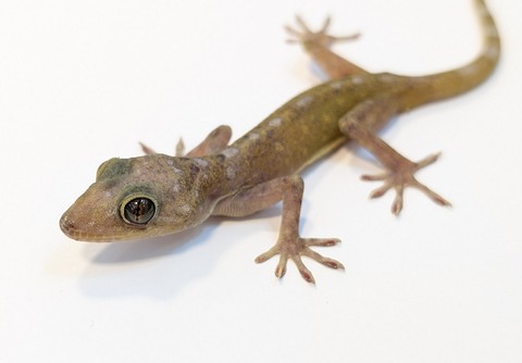 PXL_20250401_101226653~2