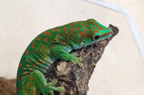 PXL_20260102_092828433~2