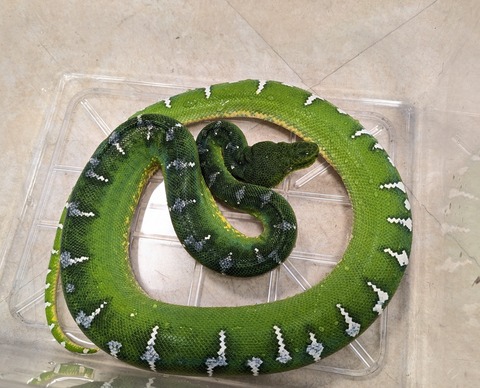 PXL_20260209_095729591~2