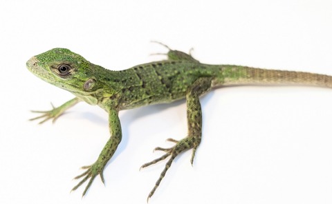 PXL_20250820_105658176~2