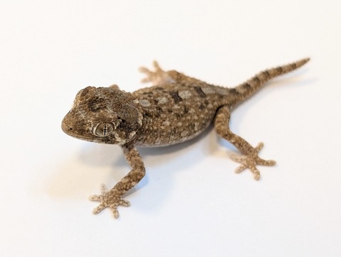 PXL_20250318_085728085~3