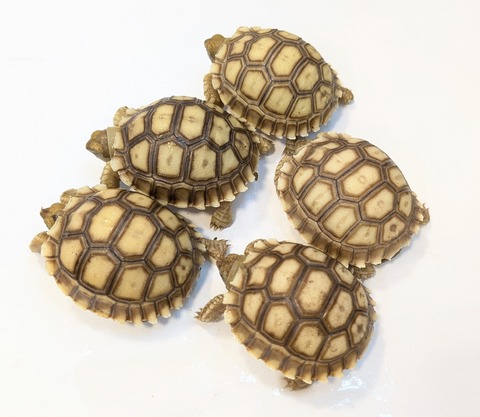 PXL_20250502_104647276~2