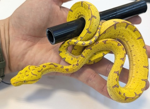 PXL_20251022_093848148~2