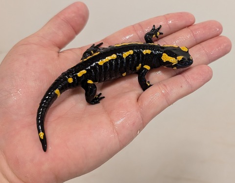 PXL_20251219_042818549