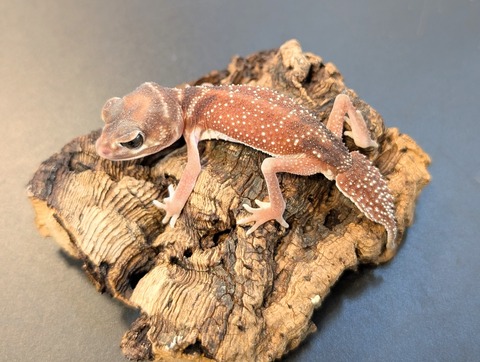 PXL_20250106_100751805~2