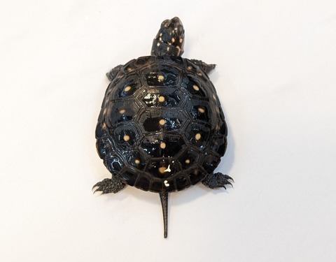 PXL_20251103_102122318~2