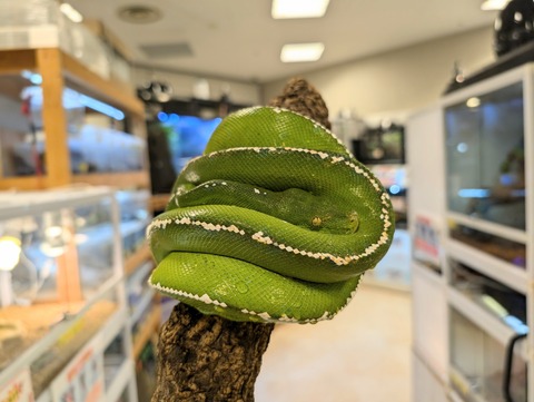 PXL_20241224_111150347~2