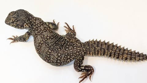 PXL_20251004_090429098~2