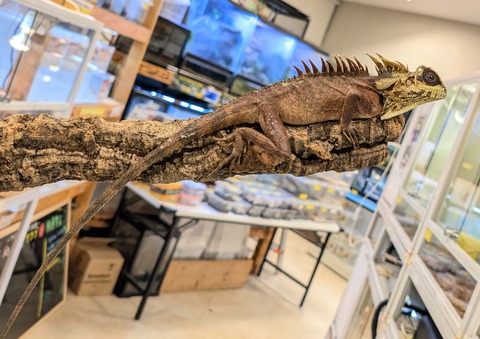 PXL_20251104_102227104~2