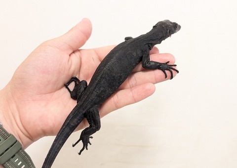 PXL_20250919_121954995~2