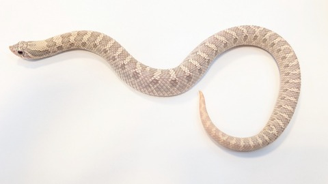 PXL_20251103_103344527~2