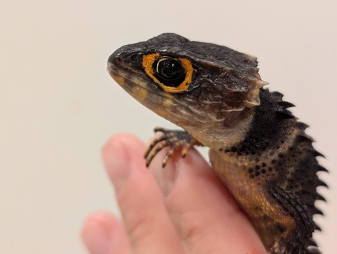 PXL_20250620_133527490~2