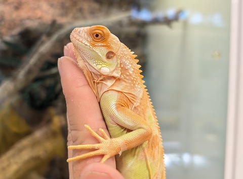 PXL_20250919_070447043~2