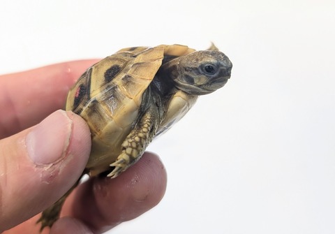 PXL_20251105_061641912~2