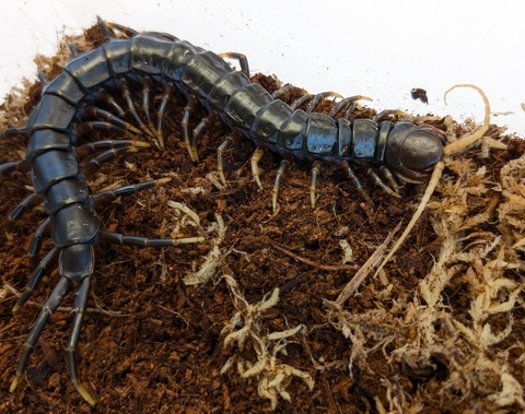 PXL_20250622_111827896~2