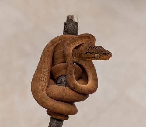 PXL_20260102_081043492~2