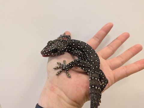 PXL_20241228_110255358