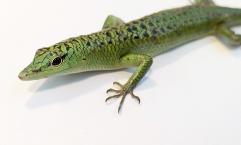 PXL_20250820_111935016~2