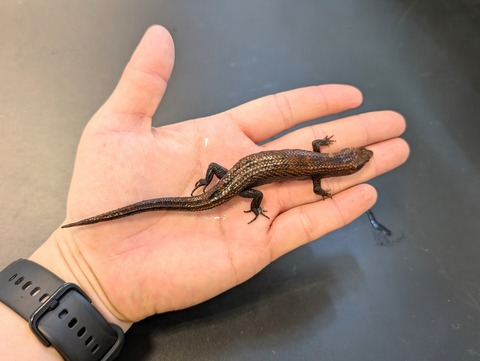 PXL_20241228_094227231~2