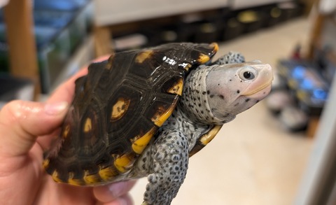 PXL_20260101_102001206~2