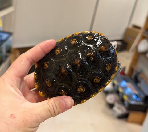 PXL_20260101_102014429~2