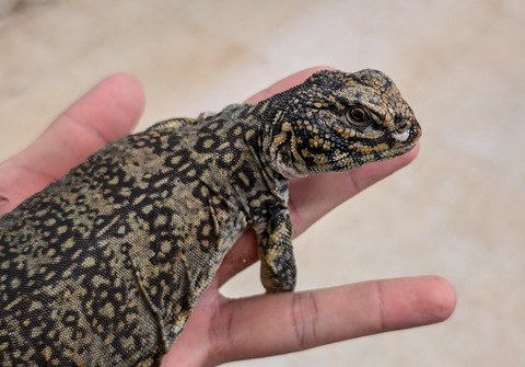 PXL_20251126_085436647