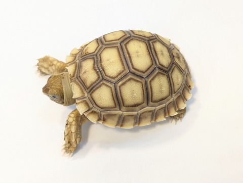 PXL_20250502_104428321~2