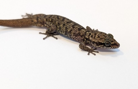 PXL_20250401_100722136~2