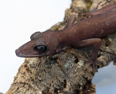 PXL_20250623_101320855~2