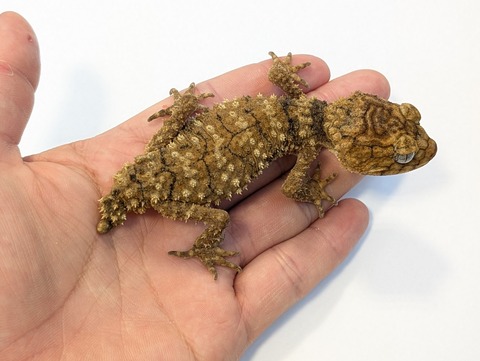 PXL_20250623_100929570~2