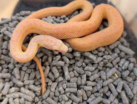 PXL_20241227_123048799~2