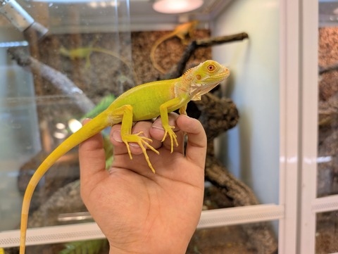 PXL_20250208_074719777~2