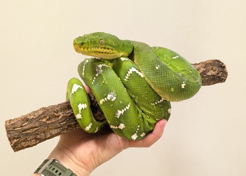 PXL_20250920_111514660~2