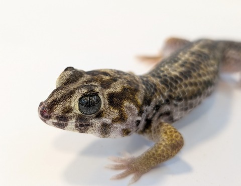 PXL_20250518_113238198~2