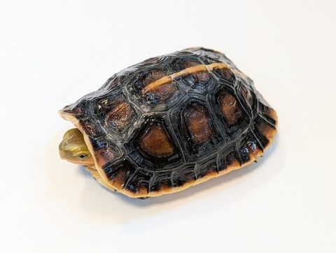 PXL_20250424_090557967~2