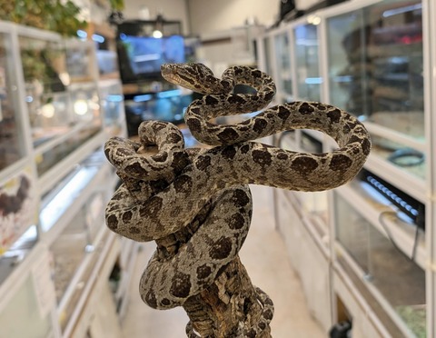 PXL_20241224_112039686~3