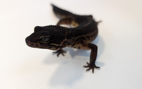 PXL_20251124_110048977