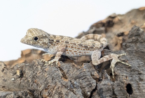 PXL_20250725_102021902~2